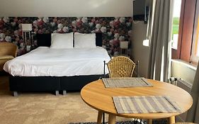 B&B de grote Zeearend